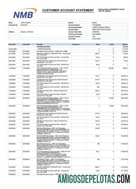 em branco Tanzânia NMB Extrato de conta bancária modelo Word e PDF